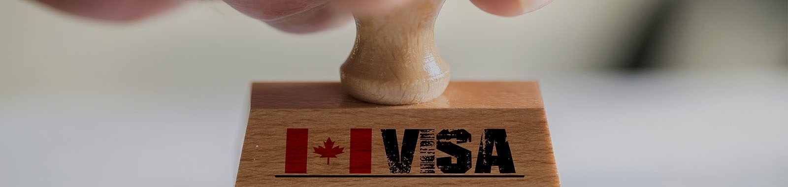Immigration Law Firm Mississauga